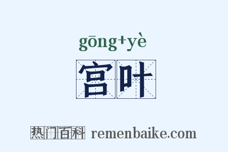 宫叶是什么意思的图片